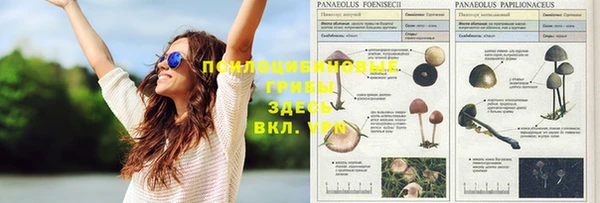 скорость mdpv Абдулино