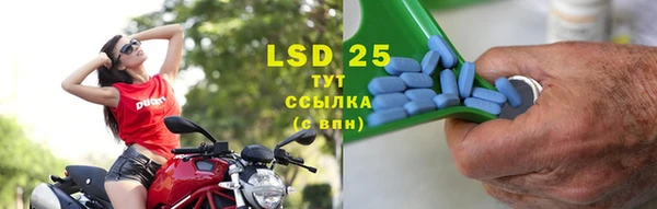 винт Абаза