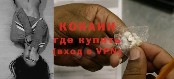 винт Абаза