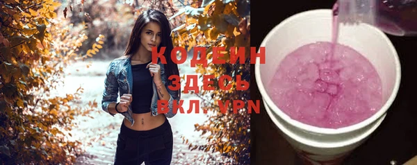 винт Абаза