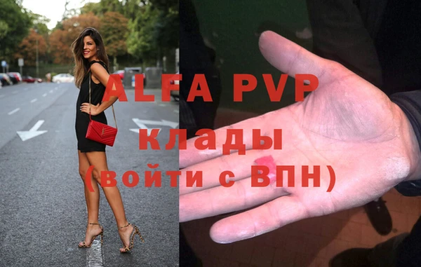 винт Абаза