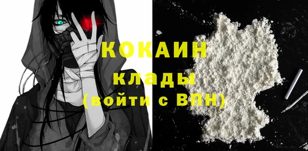метадон Инта