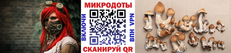 купить   ОМГ ОМГ ссылки  Галлюциногенные грибы прущие грибы  Шлиссельбург 
